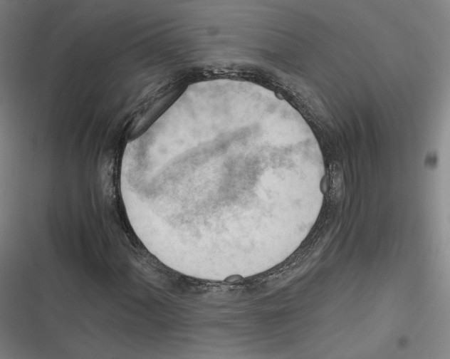 X0000116641060201001111203