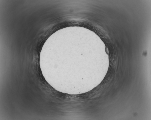 X0000116641061201001111203