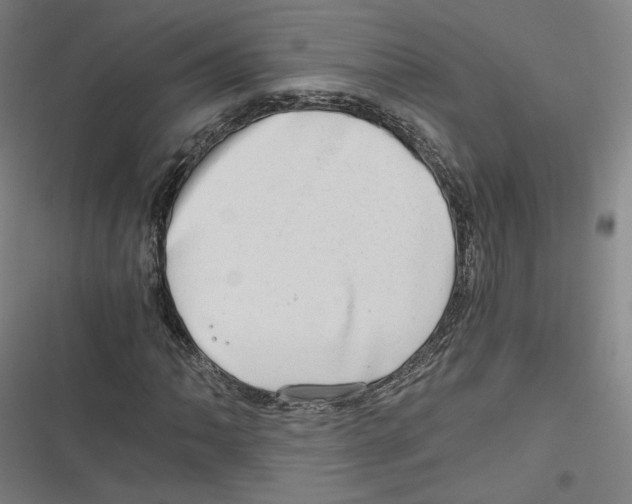 X0000116641062201001111203