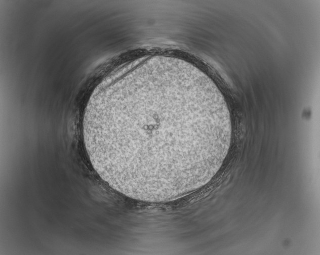 X0000116641063201001111203