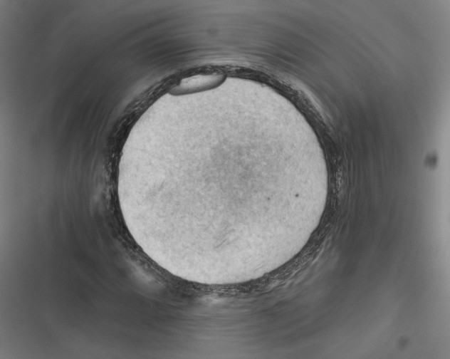 X0000116641064201001111203