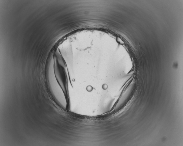 X0000116641065201001111203