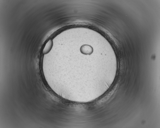 X0000116641066201001111203