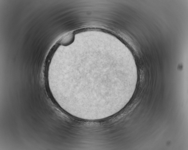 X0000116641068201001111203