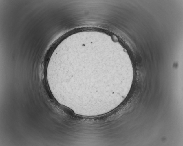 X0000116641069201001111203