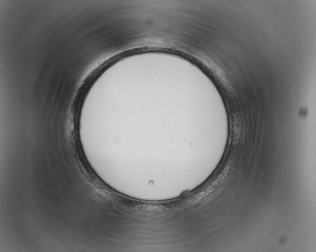 X0000116641070201001111203