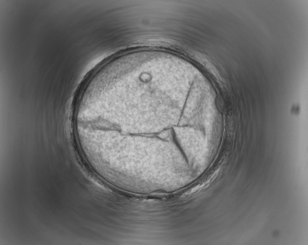 X0000116641071201001111203