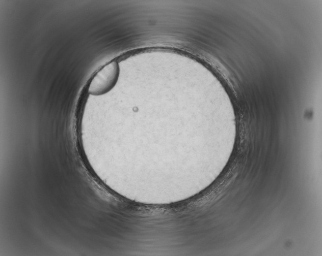 X0000116641072201001111203