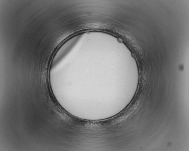 X0000116641073201001111203