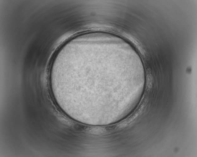 X0000116641074201001111203