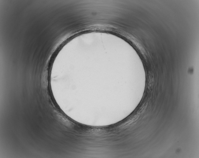 X0000116641075201001111203