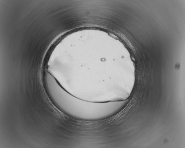 X0000116641076201001111203