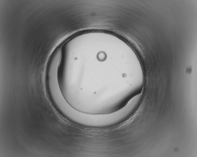 X0000116641077201001111203