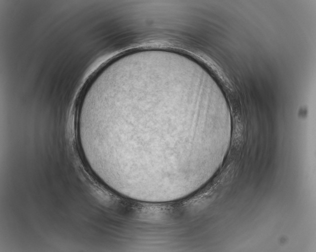 X0000116641078201001111203