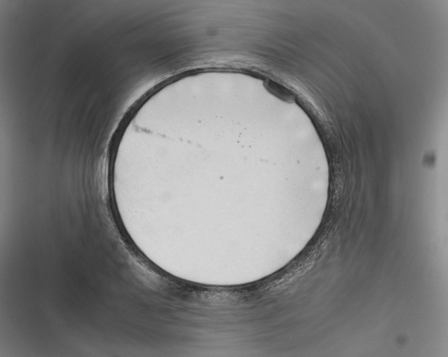 X0000116641079201001111203