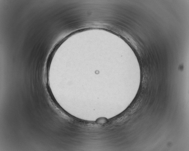 X0000116641080201001111203