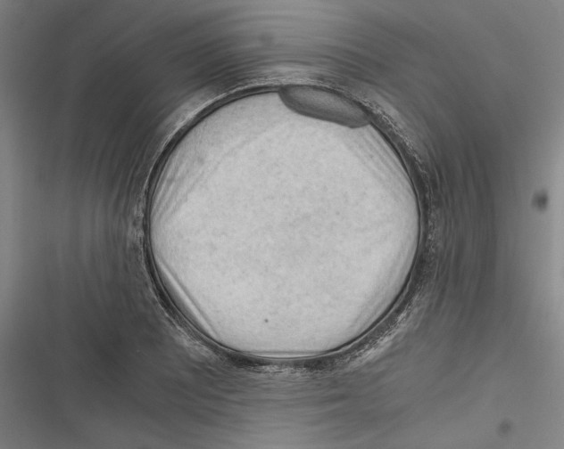 X0000116641081201001111203