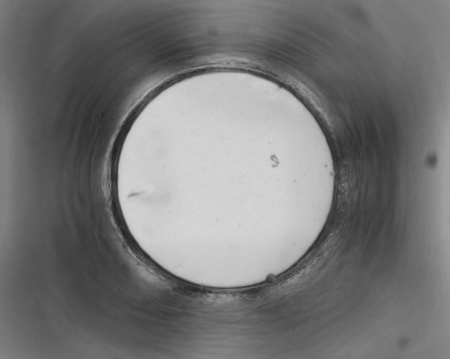 X0000116641082201001111203