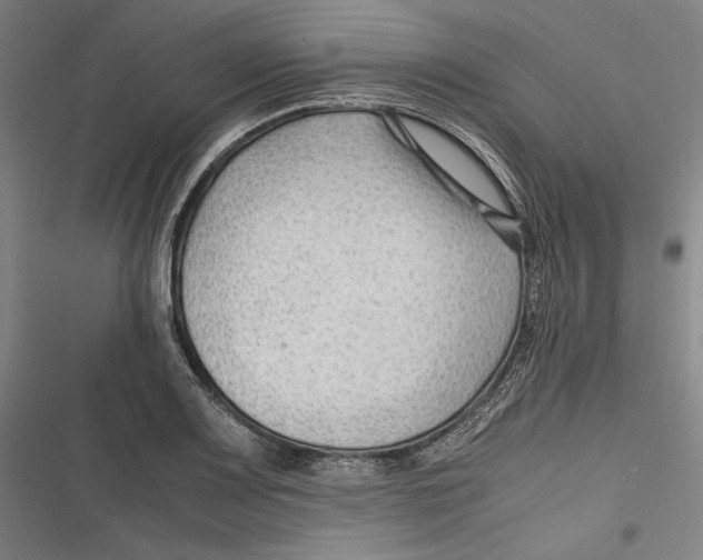 X0000116641083201001111203