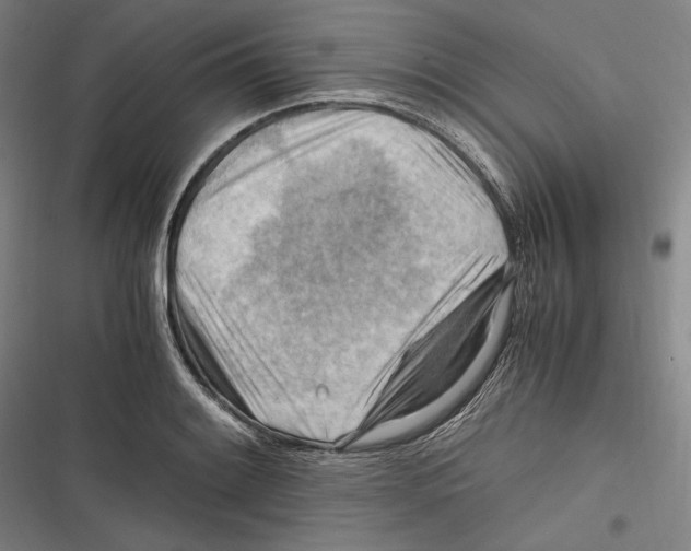 X0000116641084201001111203