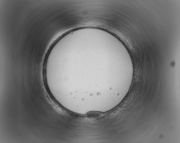 X0000116641086201001111203