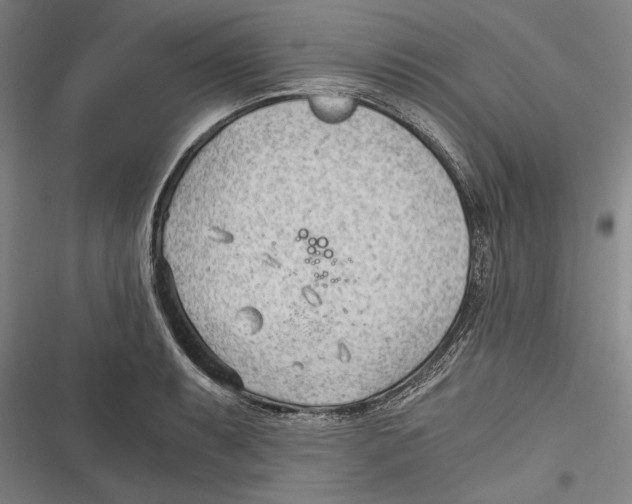 X0000116641087201001111203