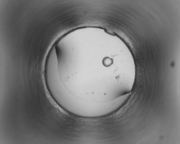 X0000116641088201001111203