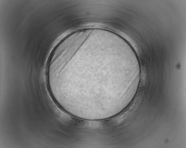 X0000116641090201001111203