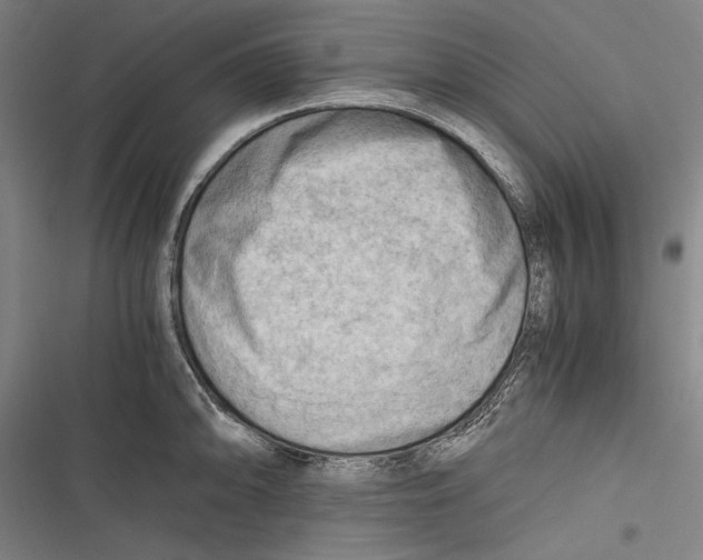 X0000116641094201001111203