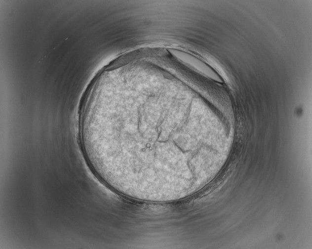 X0000116641095201001111203