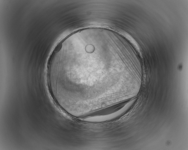 X0000116641096201001111203