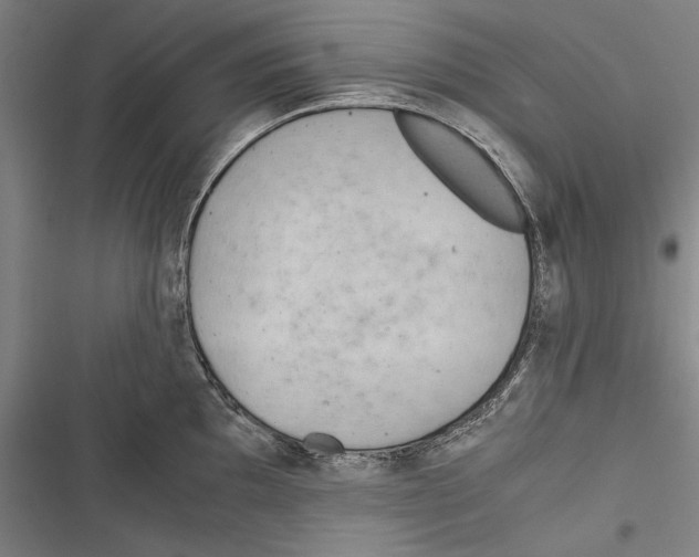 X0000116641097201001111203