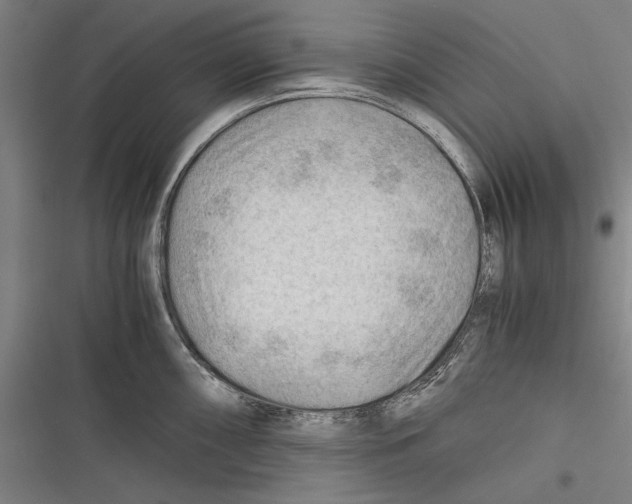 X0000116641098201001111203