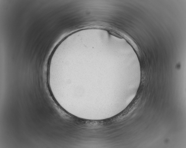 X0000116641099201001111203