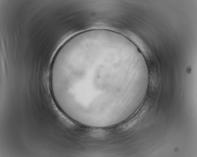 X0000116641100201001111203