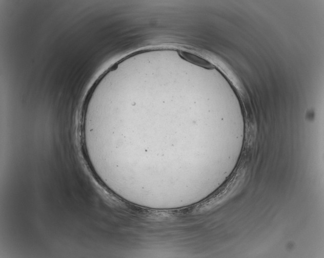 X0000116641101201001111203