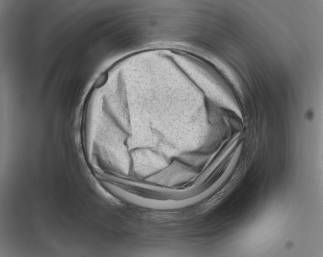 X0000116641102201001111203