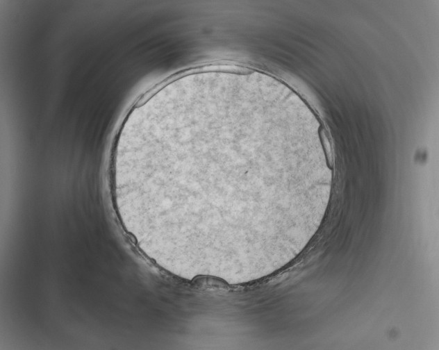 X0000116641104201001111203