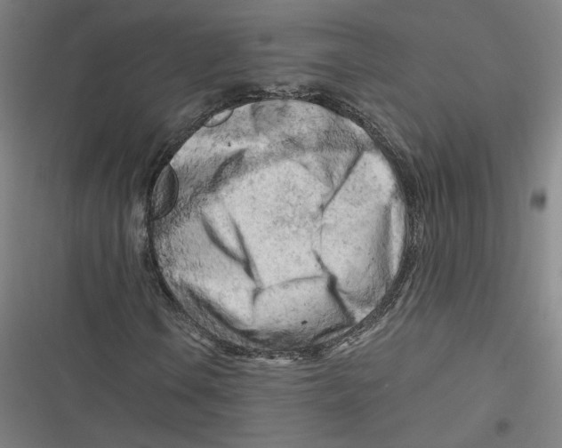 X0000116641106201001111202