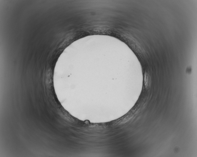 X0000116641107201001111202