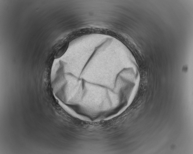 X0000116641110201001111202