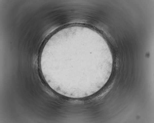 X0000116641113201001111202