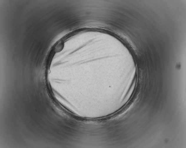 X0000116641114201001111202