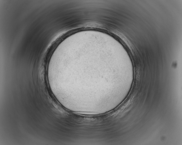 X0000116641115201001111202