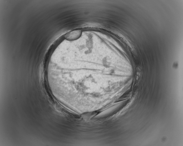 X0000116641117201001111202