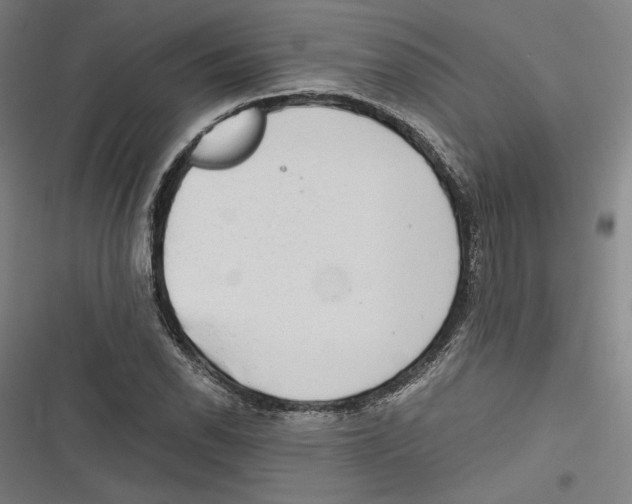 X0000116641118201001111202