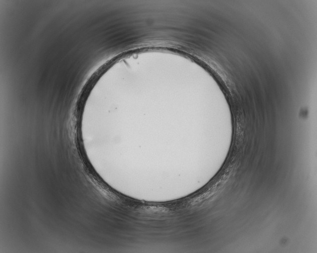 X0000116641119201001111202