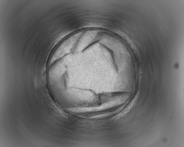 X0000116641121201001111202