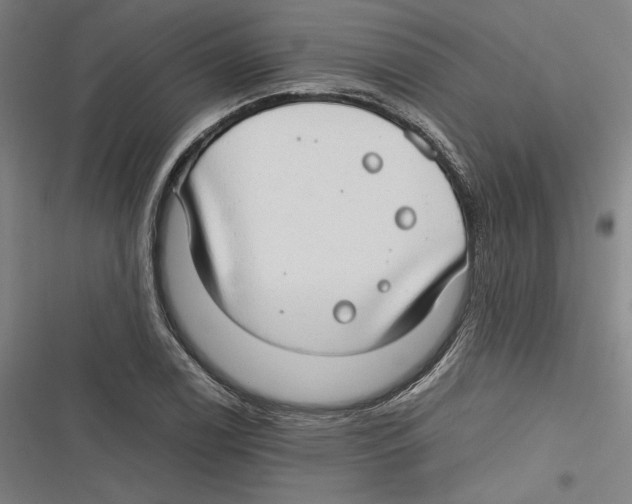 X0000116641122201001111202