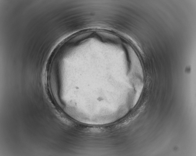 X0000116641125201001111202